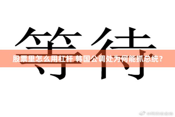 股票里怎么用杠杆 韩国公调处为何能抓总统？