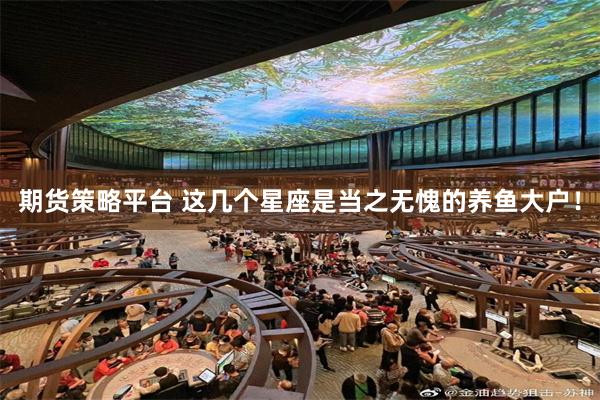 期货策略平台 这几个星座是当之无愧的养鱼大户！
