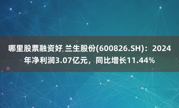 哪里股票融资好 兰生股份(600826.SH)：2024年净利润3.07亿元，同比增长11.44%