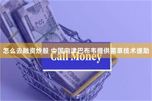 怎么去融资炒股 中国向津巴布韦提供菌草技术援助