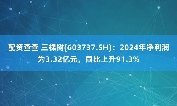 配资查查 三棵树(603737.SH)：2024年净利润为3.32亿元，同比上升91.3%