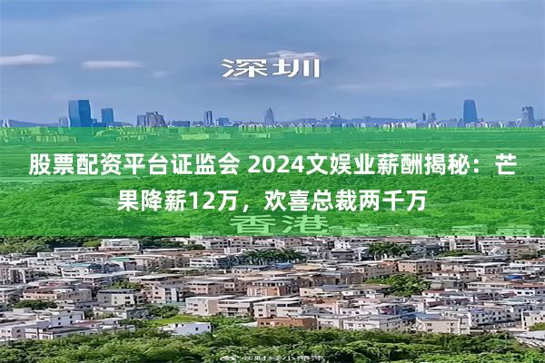 股票配资平台证监会 2024文娱业薪酬揭秘：芒果降薪12万，欢喜总裁两千万