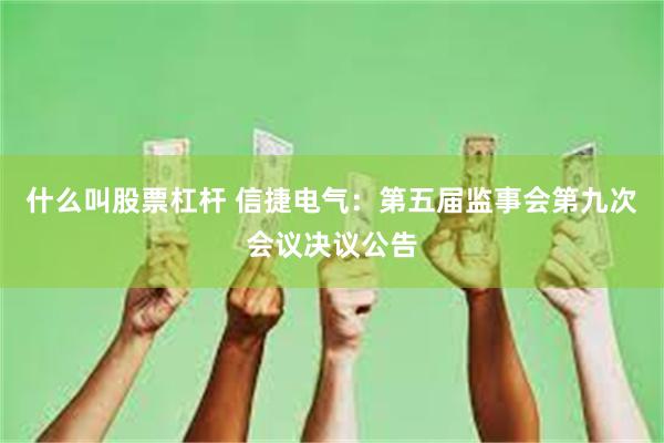 什么叫股票杠杆 信捷电气：第五届监事会第九次会议决议公告