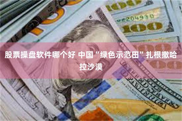 股票操盘软件哪个好 中国“绿色示范田”扎根撒哈拉沙漠